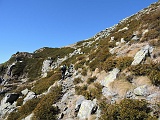 csasso19 041